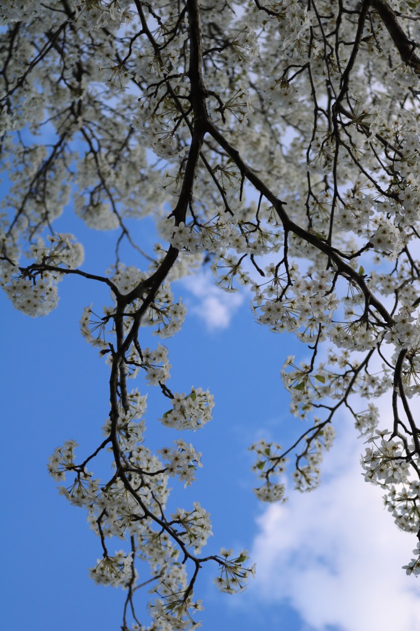 1289363893192713383_img_1189